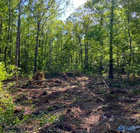 1 Acre County Road 279, Moulton, AL 35650