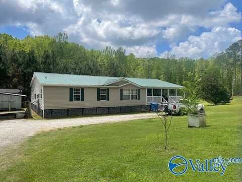 102 Pine Ridge Road, Wedowee, AL 36278