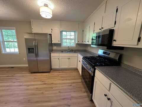 205 3rd Street NE, Arab, AL 35016