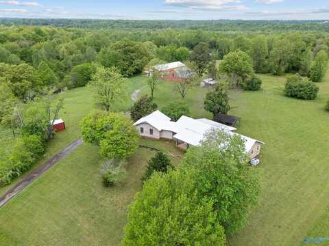 466 Coleman Road, New Market, AL 35761