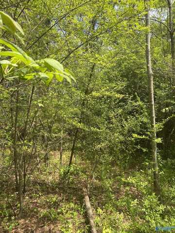 2323 Clayton Avenue, Gadsden, AL 35904