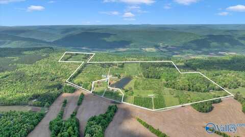 6236 County Road 39, Fackler, AL 35746