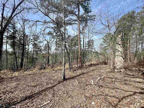 Tract 6 RAMBLEWOOD TRAIL, Yellville, AR 72687
