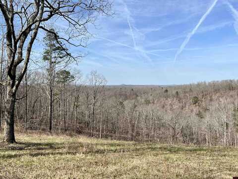 Tract 5 RAMBLEWOOD TRAIL, Yellville, AR 72687