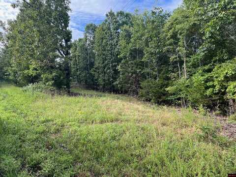 Lots 3-5, 10-13 HOMESTEAD LANE, Gassville, AR 72635