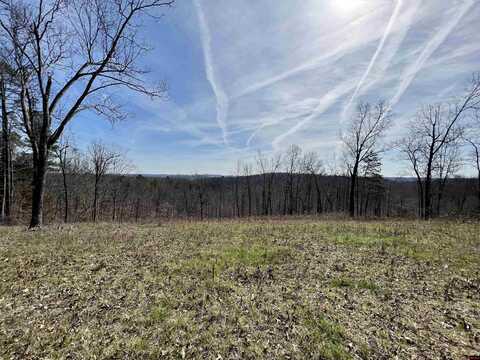 Tract 4 RAMBLEWOOD TRAIL, Yellville, AR 72687