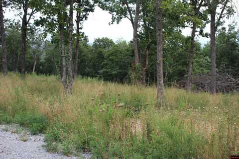 Tract 2 MC 5039, Valley Springs, AR 72682