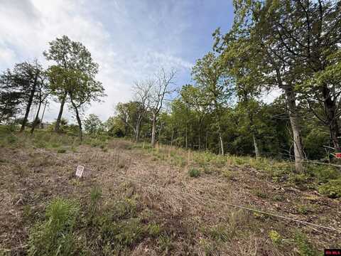 002-07477-000 MILLER DRIVE, Mountain Home, AR 72653