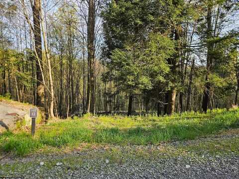 Lot 12 Trailwood Circle, Bruceton Mills, WV 26525