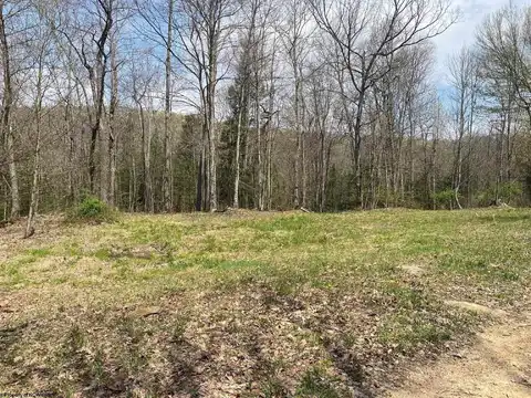 TBD Prison Mine Road, Mill Creek, WV 26280