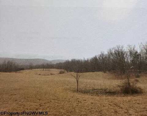 3176 Germany Valley Road, Riverton, WV 26814