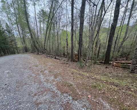 Lt 3190 Tivoli Court, Ellijay, GA 30540