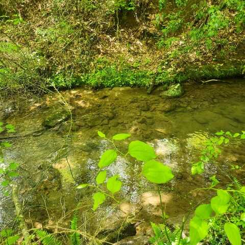10140 Doublehead Gap Road, Blue Ridge, GA 30513