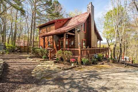 240 Lower Prince Mountain Road, Cherry Log, GA 30522