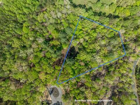 Lot 7 Briar Creek Court, Morganton, GA 30560