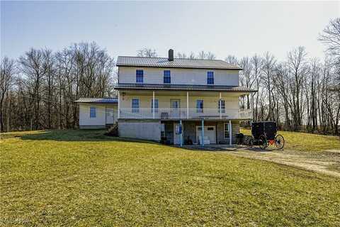 11978 Black River School Road, Homerville, OH 44235