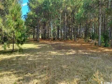 3025 Fowler Rd., Loris, SC 29569
