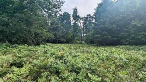 V/L Meadowview Trail, Custer, MI 49405