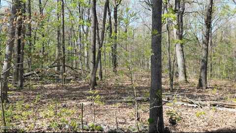 000 Plainview Rd, Anderson, MO 64831