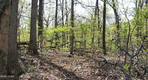 000N Plainview, Anderson, MO 64831