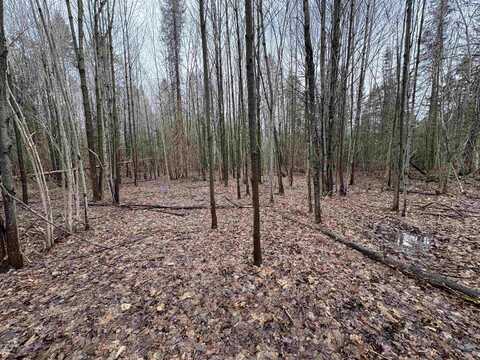 Partridge Lane, Danville, VT 05828
