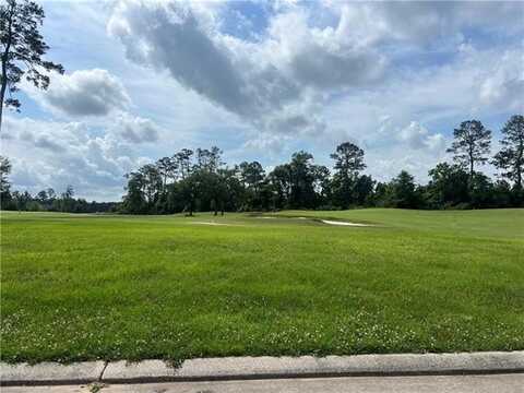 24195 SNOWY EGRET Cove, Springfield, LA 70462