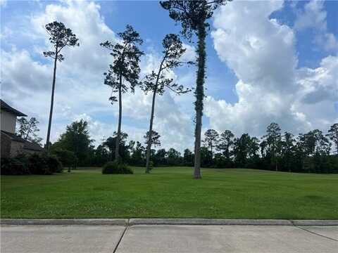 24215 SNOWY EGRET Cove, Springfield, LA 70462