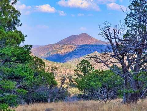114 Low Meadow Trail, Fort Davis, TX 79734
