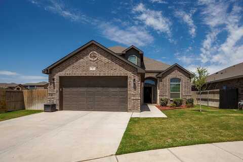 1 Salers Ct, Odessa, TX 79765