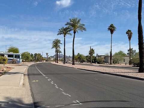 Royal Palm, APACHE JUNCTION, AZ 85119