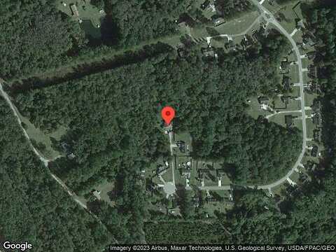 Pine, GUYTON, GA 31312