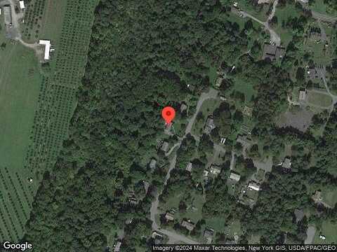 Colleen, WALLKILL, NY 12589