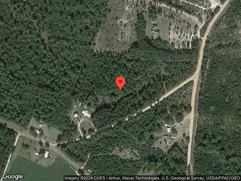 Turkey, PEMBROKE, GA 31321