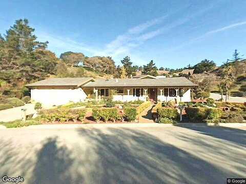Blue Larkspur, MONTEREY, CA 93940