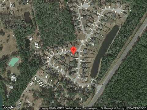 Sand Dollar, BRUNSWICK, GA 31523