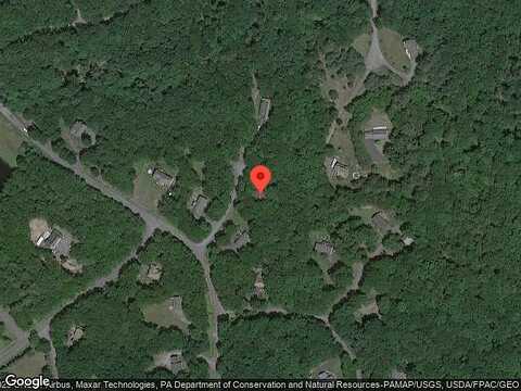 Blue Spruce, MILFORD, PA 18337
