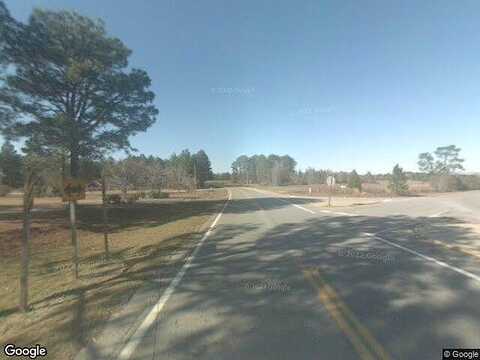 Ga Highway 23, METTER, GA 30439