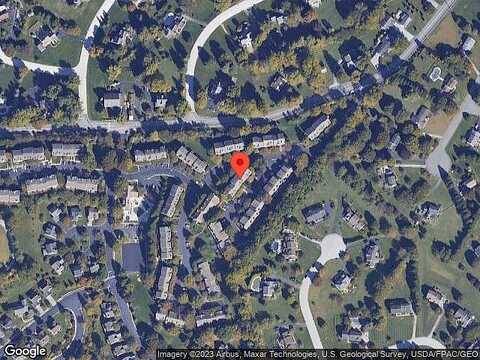 Whistling Swan, DOWNINGTOWN, PA 19335
