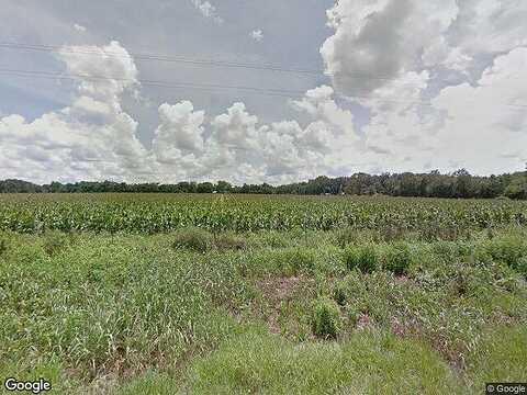 Faceville Attapulgus, ATTAPULGUS, GA 39815