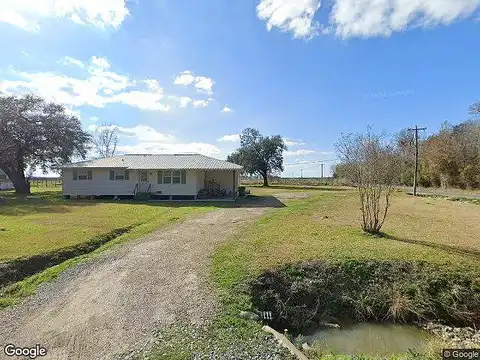 Cattail, IOTA, LA 70543