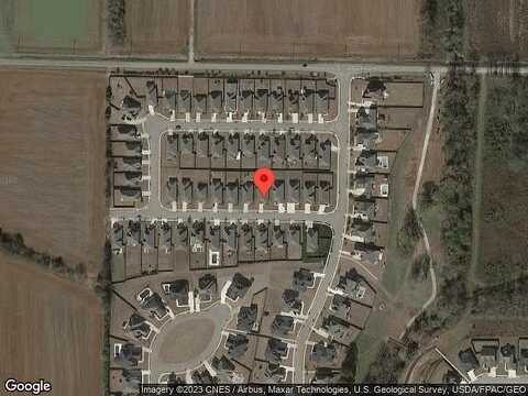 Goldfinch, MADISON, AL 35756