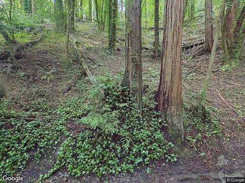 Summerhome Park, FORESTVILLE, CA 95436