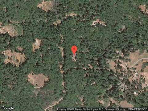 Scrub Oak, GRASS VALLEY, CA 95945