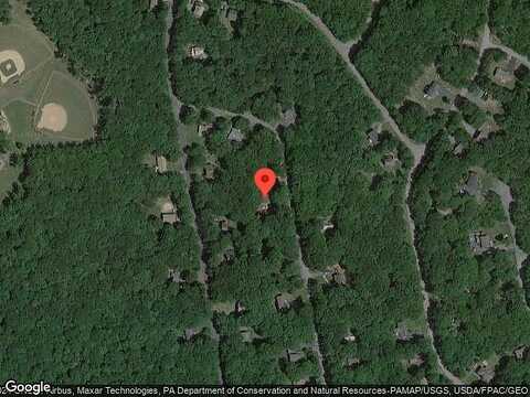 Spruce, MILFORD, PA 18337