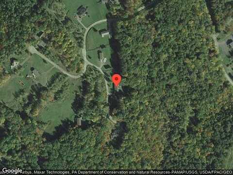 White Birch, LAKE ARIEL, PA 18436