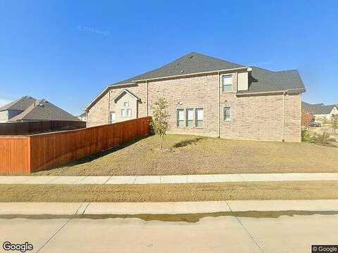 Armadillo, ARGYLE, TX 76226