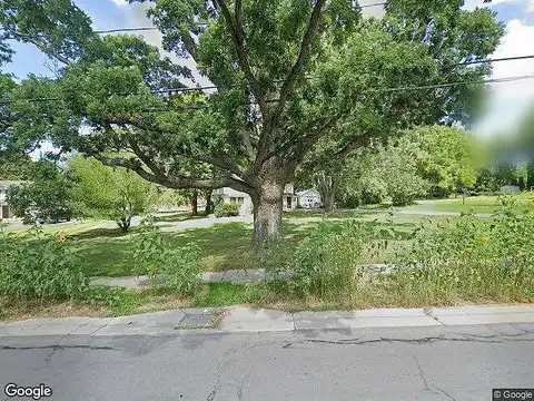 Big Tree, LIVONIA, NY 14487