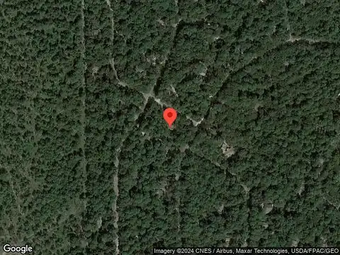 Blue Wing, HOLLY LAKE RANCH, TX 75765
