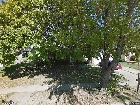 White Pine, SPRINGFIELD, IL 62712