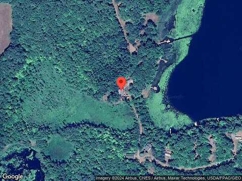 Loon, BRAINERD, MN 56401